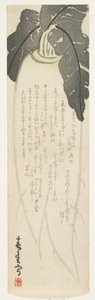 1864年1月大根